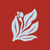 Beanie app icon